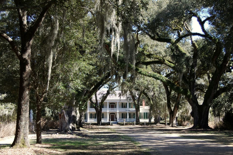 Avenue of live oaks hung with Spanish moss, a white house with a two-story gallery at the end