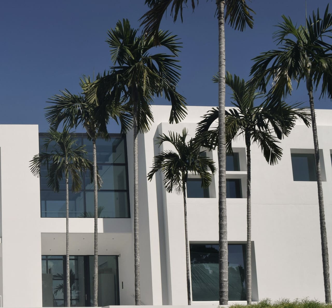 White modern facade with tall glass windows behind a row of palms